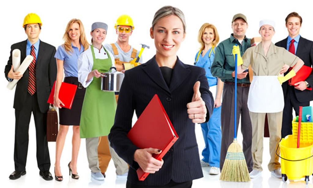 Havran Ofis İlaçlama